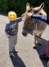 Kindergartenreise Kindergarten Brüelmatt 2 auf die Hupp Lodge Wisen (1/1)